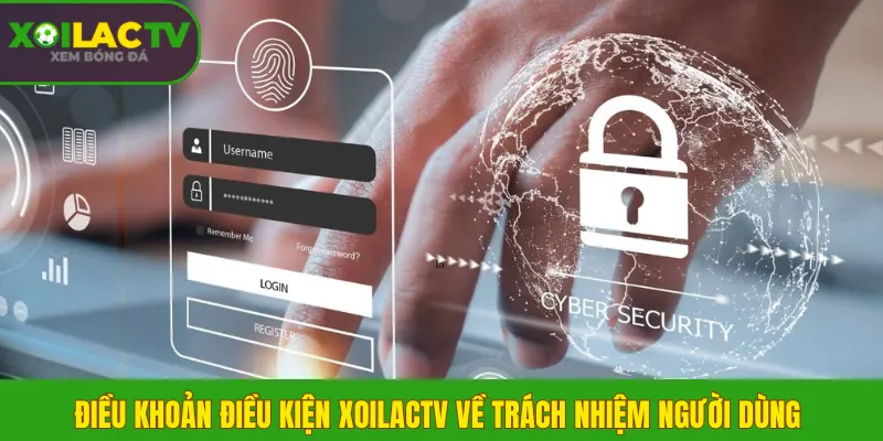 Điều Khoản Điều Kiện 2 Điều khoản điều kiện XoilacTV về trách nhiệm người dùng