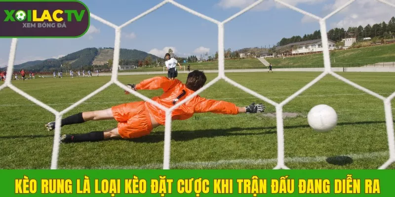 Kèo Rung là gì? Bí kíp đánh rung 15 phút cuối trận hiệu quả 1 Kèo Rung là loại kèo đặt cược khi trận đấu đang diễn ra