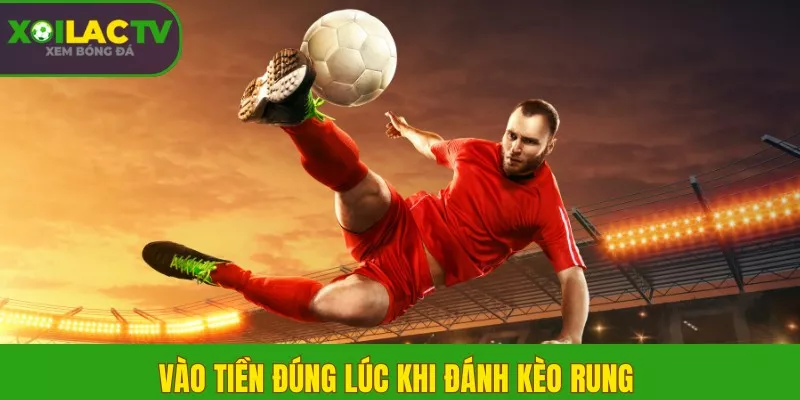 Kèo Rung là gì? Bí kíp đánh rung 15 phút cuối trận hiệu quả 2 Vào tiền đúng lúc khi đánh kèo rung
