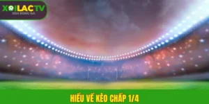 Giải mã thuật ngữ nhà cái
